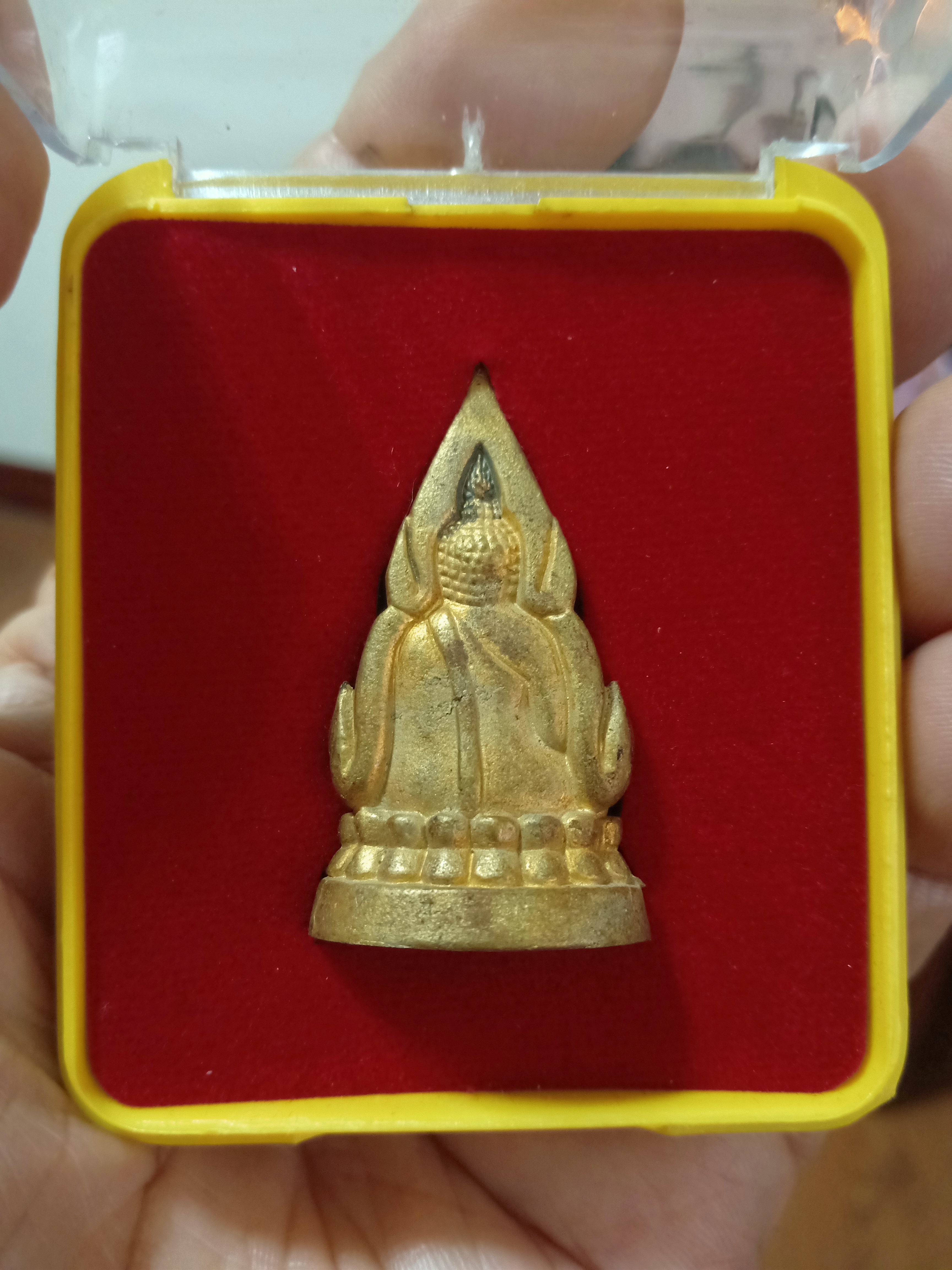 ด้านหลัง