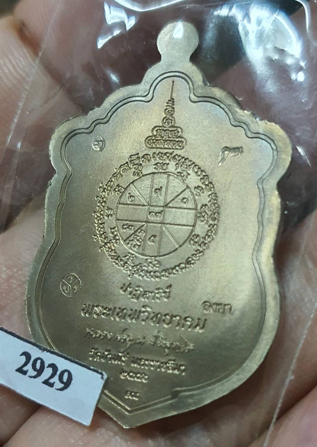 ด้านหลัง