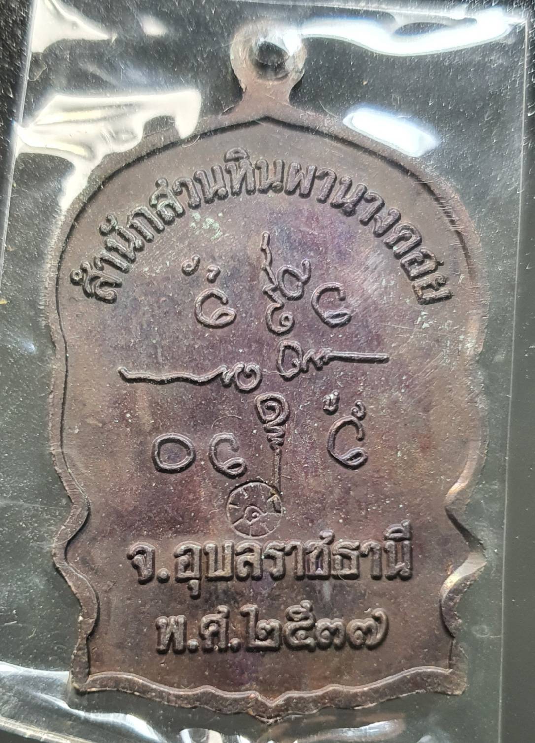 ด้านหลัง