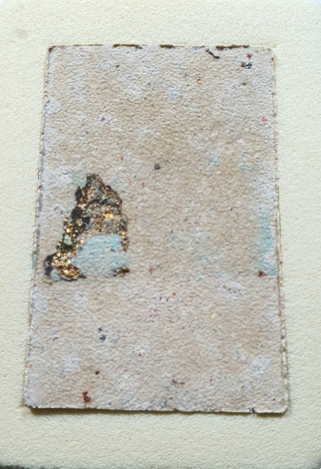 ด้านหลัง